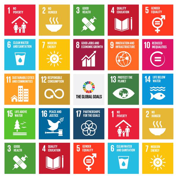 The-Global-Goals